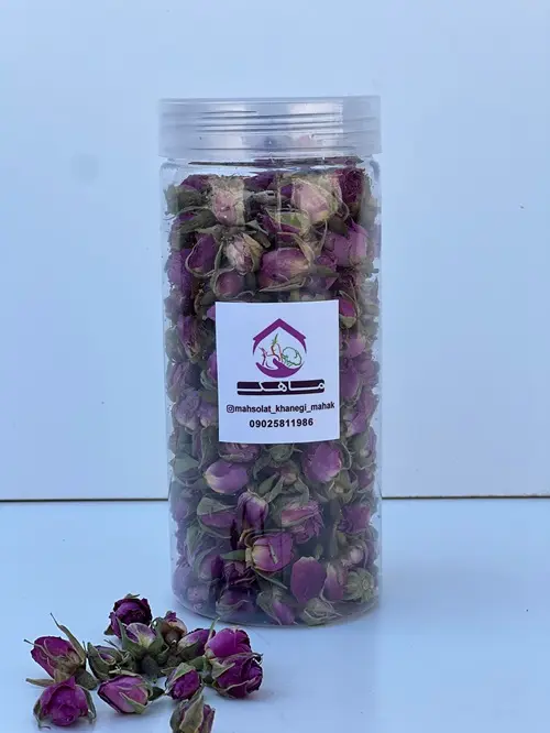 غنچه گل محمدی پت ماهک