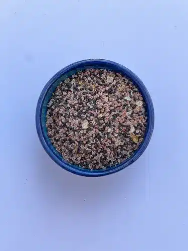 چهار تخمه ماهک