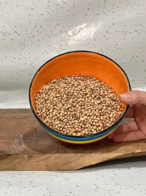 لوبیا جیرفتی ماهک