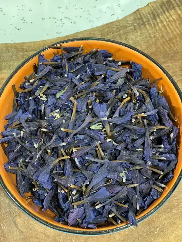گل گاوزبان ماهک